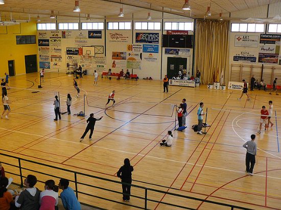 Final Regional de Bádminton Deporte Escolar (27 FEBRERO 2010) - 27