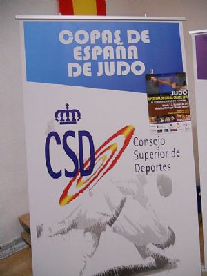 04 diciembre - VI Torneo Ciudad de Totana de Judo (Supercopa de España Cadete 2011) - 79