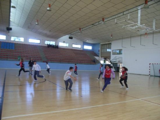15 marzo - Final Fase Local Balonmano Alevín (Deporte Escolar) - 2